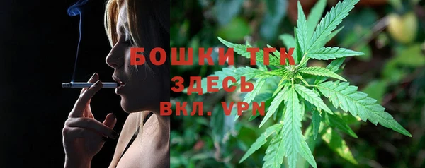 ПСИЛОЦИБИНОВЫЕ ГРИБЫ Армянск