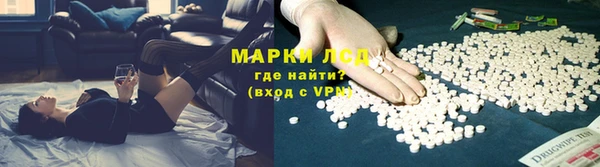 ГАЛЛЮЦИНОГЕННЫЕ ГРИБЫ Аркадак