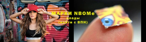 ГАЛЛЮЦИНОГЕННЫЕ ГРИБЫ Аркадак