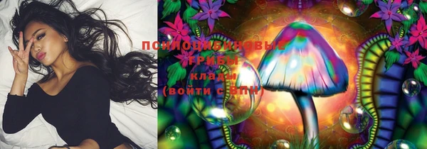ПСИЛОЦИБИНОВЫЕ ГРИБЫ Армянск