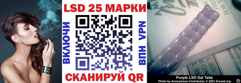 Купить закладки  Кондопога  Наркотические марки 1,8мг 