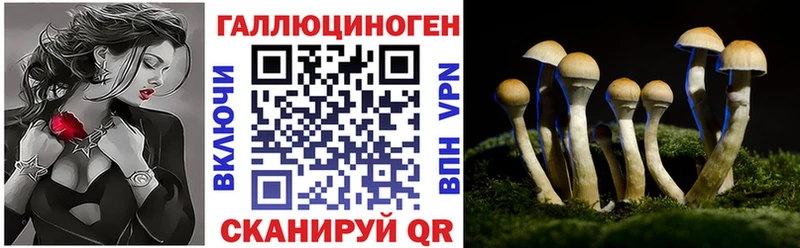 Псилоцибиновые грибы мухоморы  Купить  Кондопога 